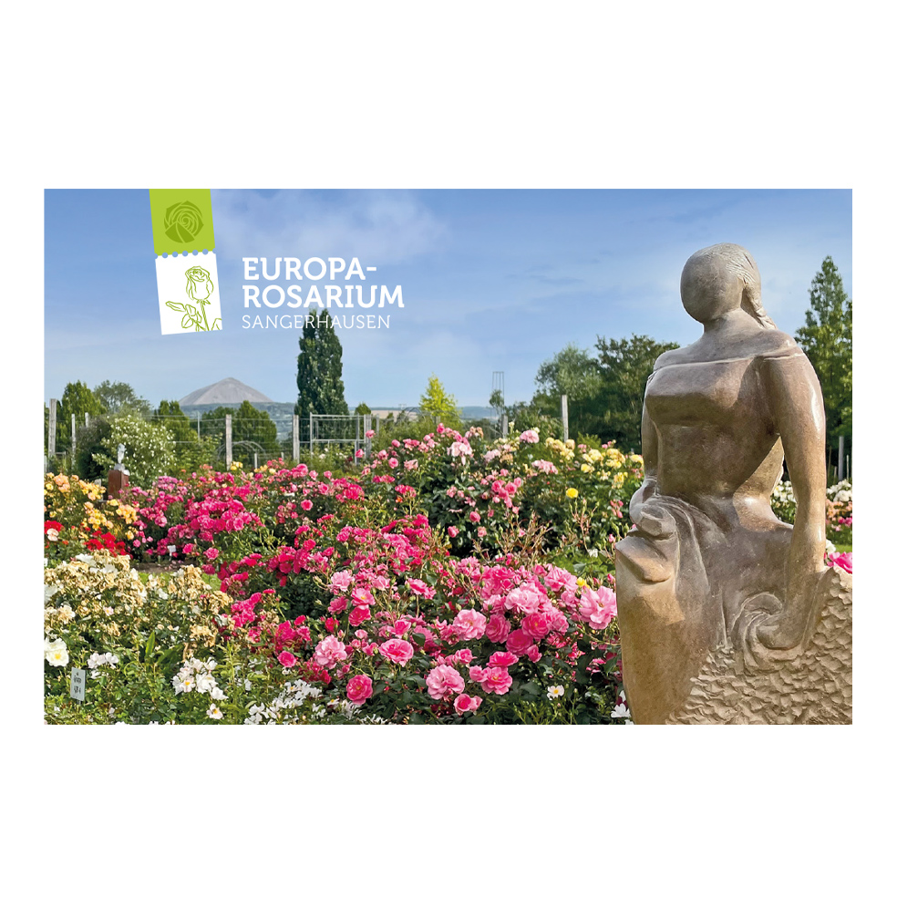 Magnet Europa-Rosarium Jubiläumsgarten